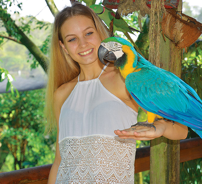 Birdworld Kuranda Natural Habitat Over 350 Birds Open 10am 4pm